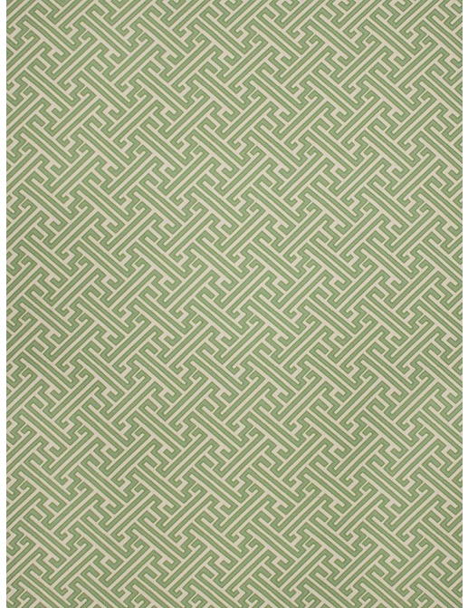 Ткань Fabricut Modern Nuances Citron Green Rebellions/Emerald