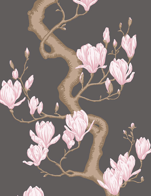 Обои Cole & Son Classics Collection Vol. II 128/1001