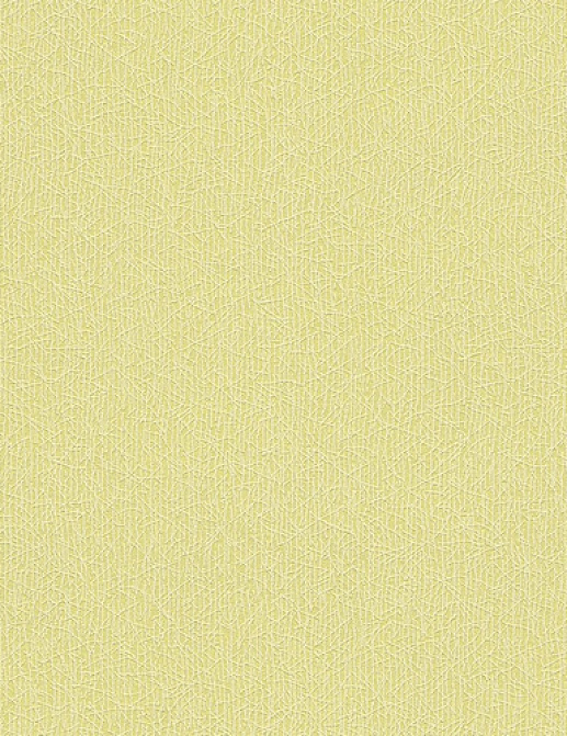 Обои A. S. Creation Colourfast 95956-5