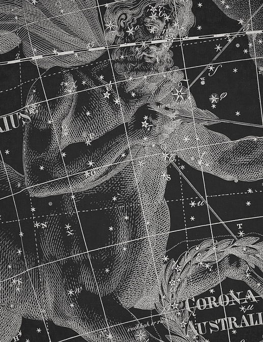 Панно и фотообои Italreflexes Macro Sagittarius-006/Slate