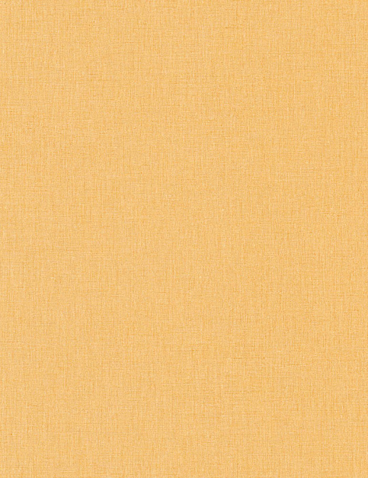 Обои Caselio Linen II INN68523250