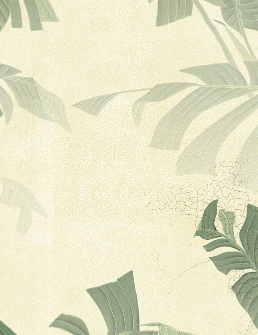Обои Paul Montgomery Studio Murals For Unique Walls Rio/Antique