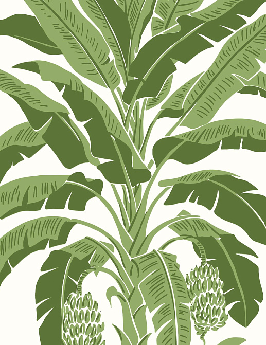 Обои Thibaut Palm Grove T13914