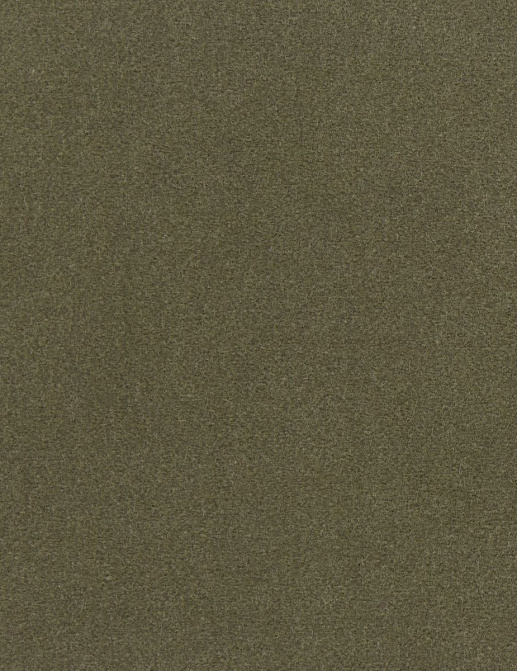 Ткань Loro Piana Cotton Velvet II AC3036/020