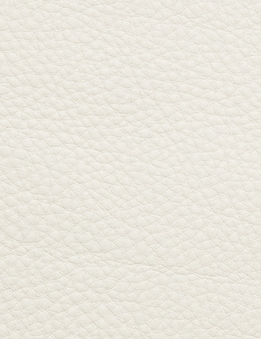Ткань Holly Hunt Holly Hunt Leather 9377/02