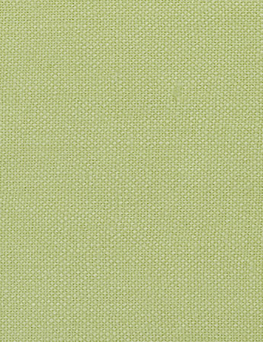 Ткань Designers Guild Bassano F1562/45