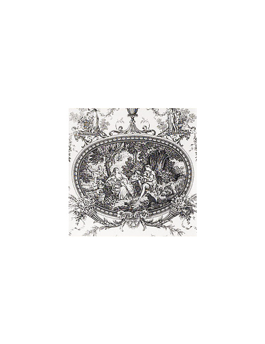 Ткань Thibaut Toile Portfolio F97315