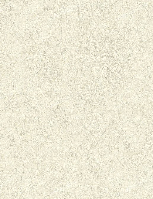 Обои Studio 465 St. Petersburg BU20808