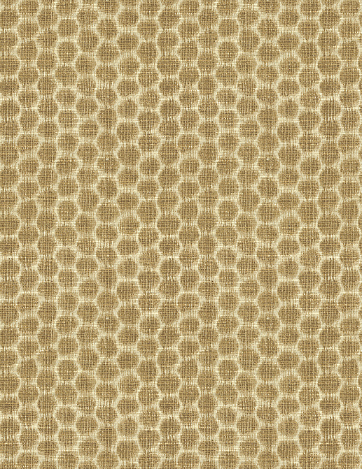 Ткань Kravet Echodesign Heirloom India 33132/106