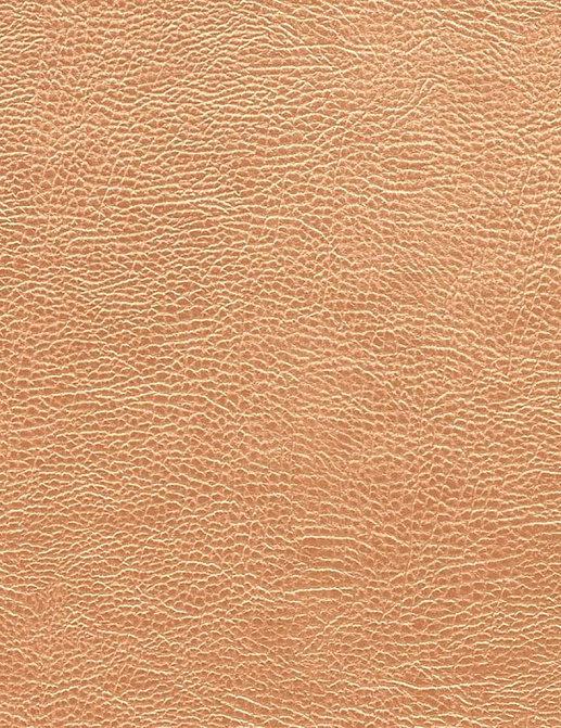 Ткань Designers Guild Kalahari FDG2168/05