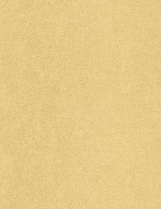 Обои Casadeco Cotton Touch COTO82382375