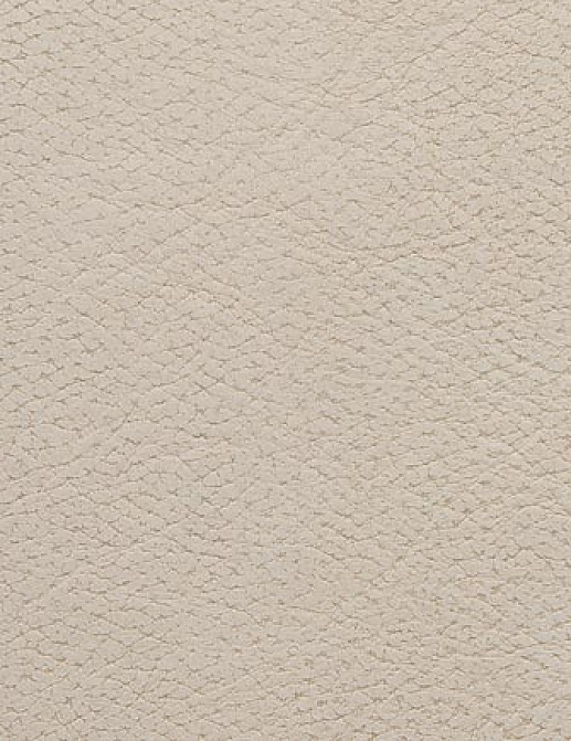 Ткань Holly Hunt Holly Hunt Leather 6007/01
