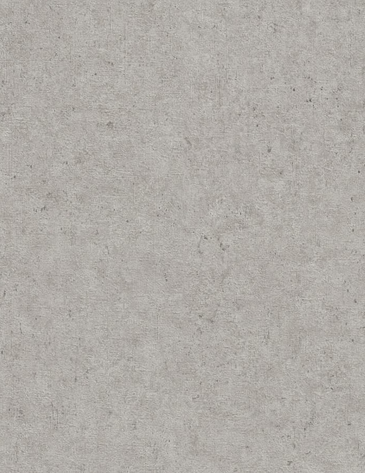Обои Rasch Настенные структуры. Том 4 / Wall Textures XL Vol. 4 974249