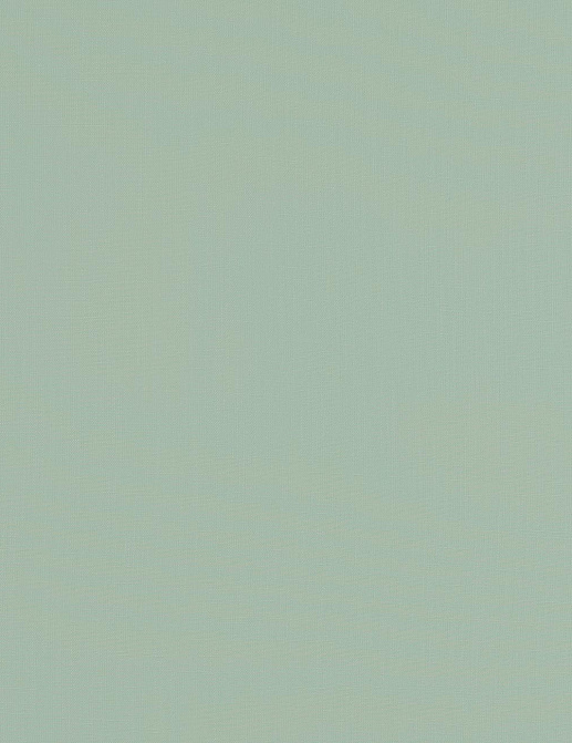 Ткань Clarke & Clarke Tatton Linens F0354/10