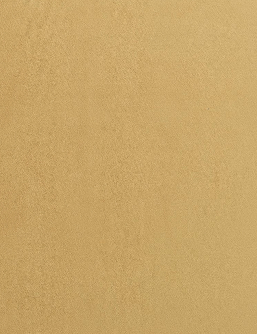 Ткань Designers Guild Trentino FDG2649/15
