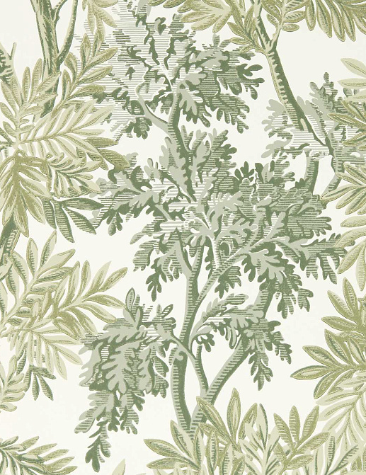 Обои Sanderson Country Woodland 217416