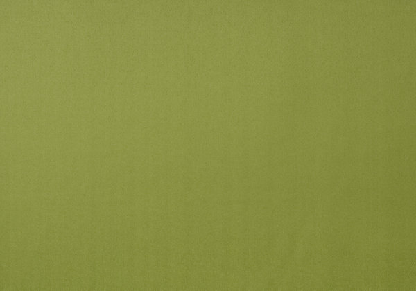 Ткань Designers Guild Santiago F1649/39