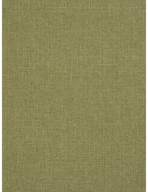 Ткань Trend Mammoth Twill 04466/Cactus