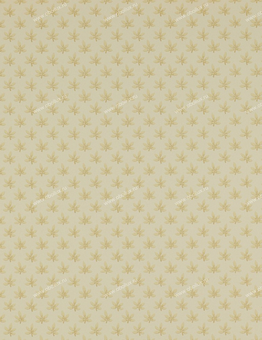 Обои Colefax and Fowler Ashbury 07984-03