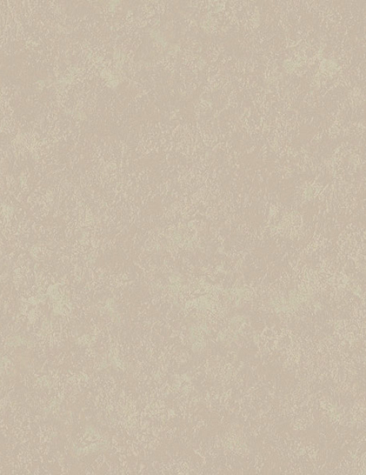 Обои Loymina Impress Stucco012