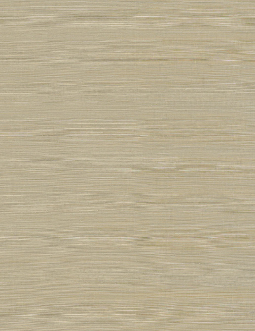 Обои York Ronald Redding Grasscloth & Natural Resource GV0105NW