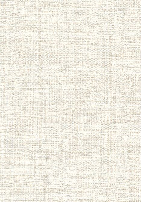 Обои Elitis Madagascar Arrowroot Raw Raffia VP73183