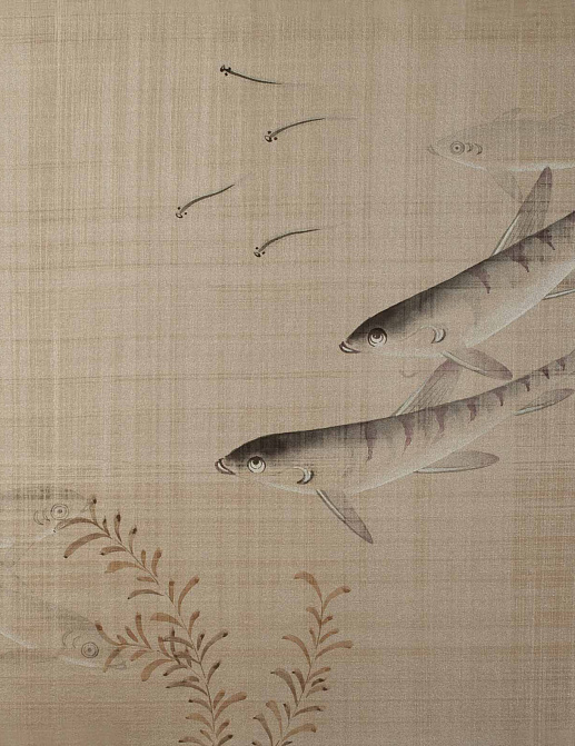 Обои Fromental Conversational Pleasure of Fishes/Rockpool