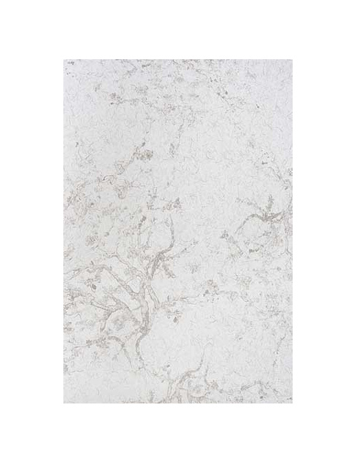 Обои KT-Exclusive Naturae 210/C01
