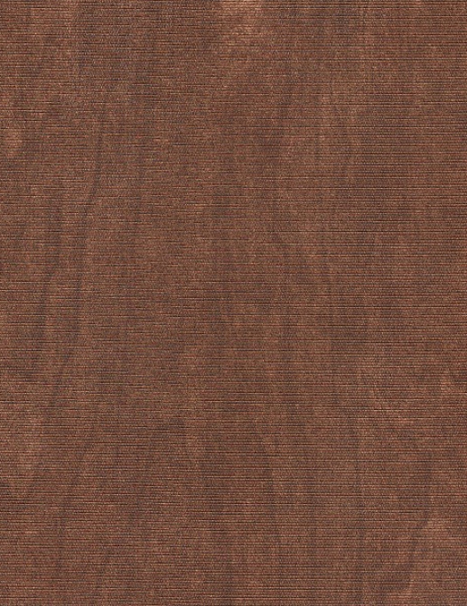 Обои Mahieu The Cameleon Roxy Wood