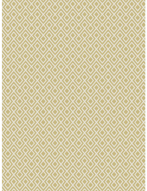 Ткань Fabricut Modern Nuances Citron Green Guetta/Citrus