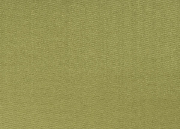 Ткань Designers Guild Moray F1740/25