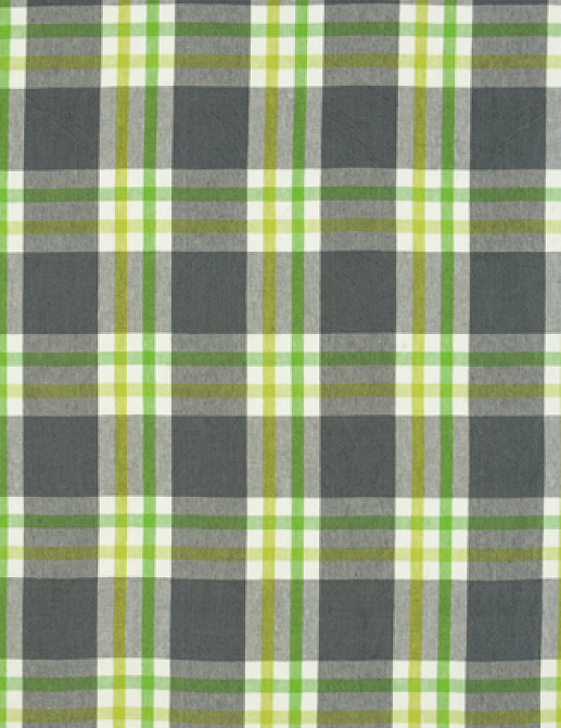 Ткань Designers Guild Brera quadretto F1890/04