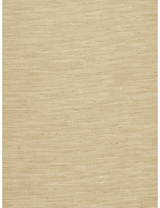 Ткань Trend Silky Solids Drapery 02840/Oat