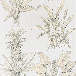 Ткань Thibaut Toile Resource II F99804