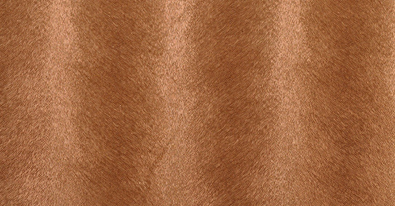 Обои Innovations Collection Caballo CAB-102 DUN