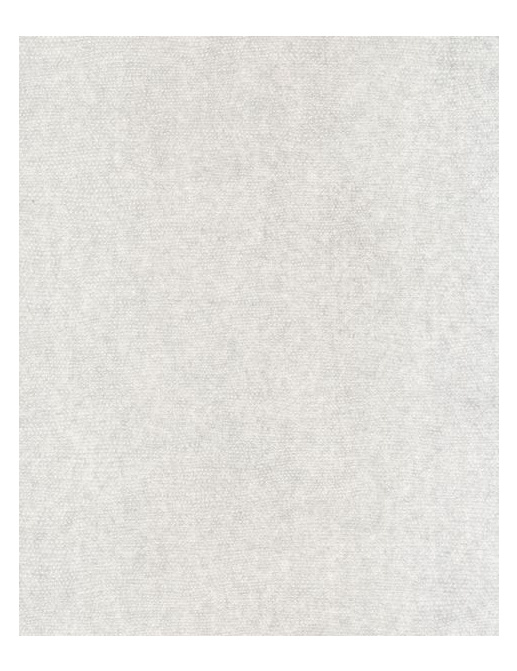 Обои Casamance Chromatic C72010231