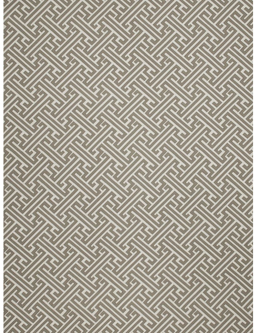 Ткань Fabricut Modern Nuances Grey Rebellions/Pewter
