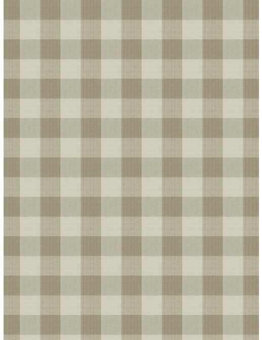 Ткань Stroheim Charles Faudree Biron Strie Check Biron strie check/Linen