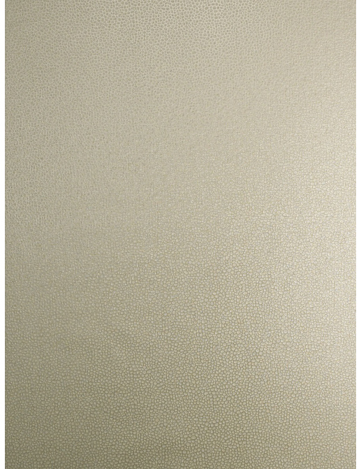 Обои Trend Vern Yip W30016/02