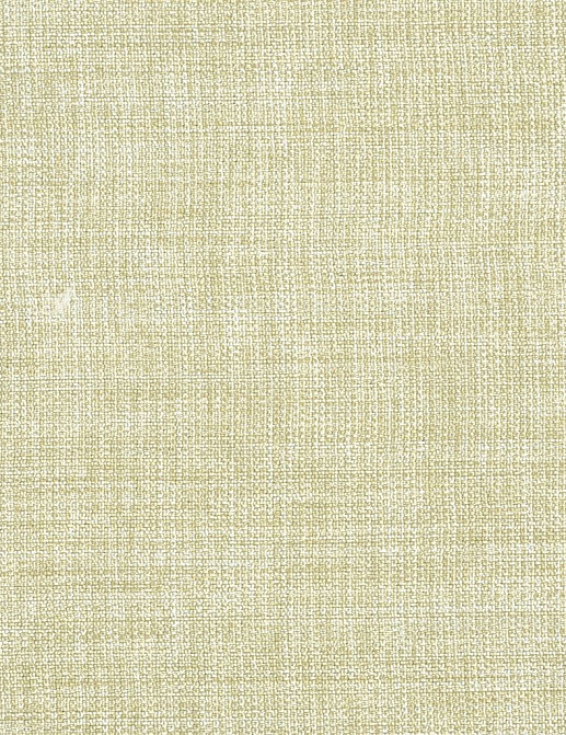 Ткань Designers Guild Ishida F1393/39