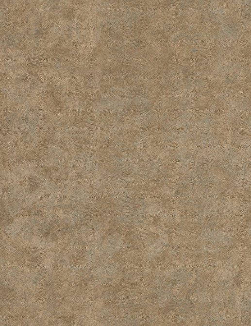 Обои Chivasso Ghost CA8204/021