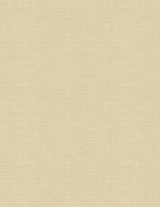 Обои Wallquest Geotex BW45605