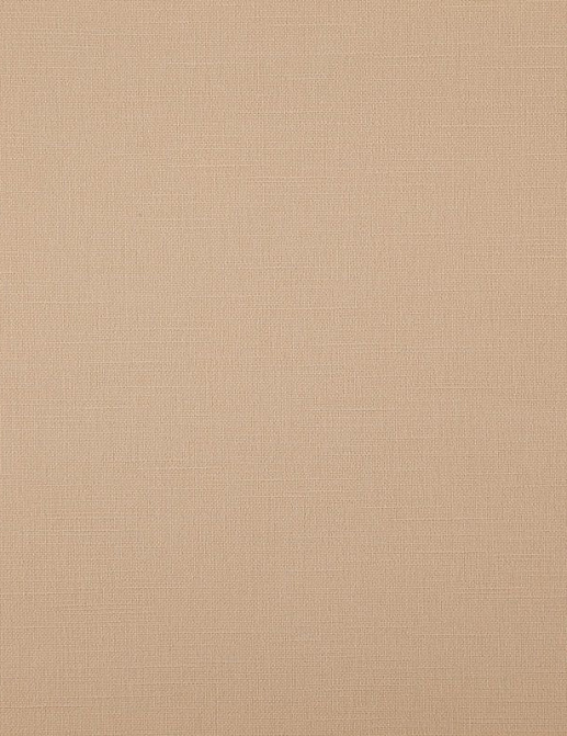 Ткань Daylight Canvas Bonfire/Beige