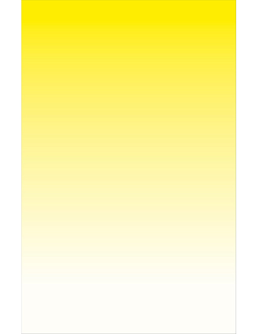 Панно и фотообои Bien Fait Papier Peint Sunset/Citron
