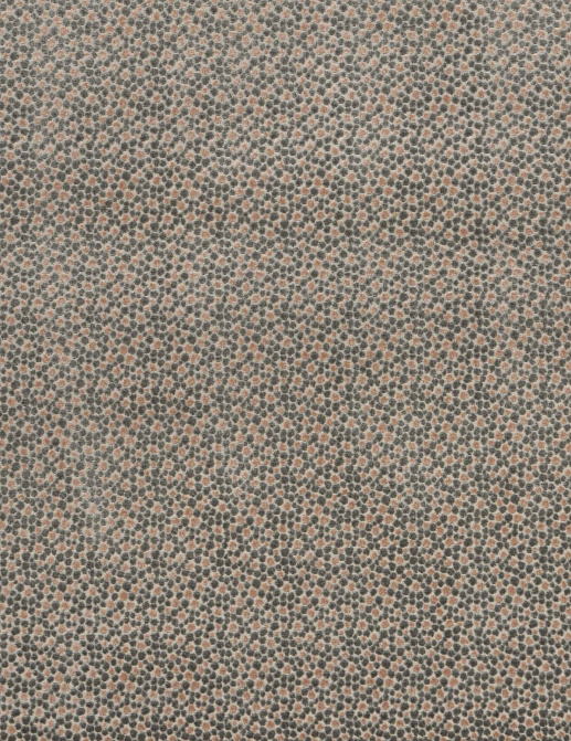 Ткань Baker Lifestyle Carnival Velvet PF50424/440