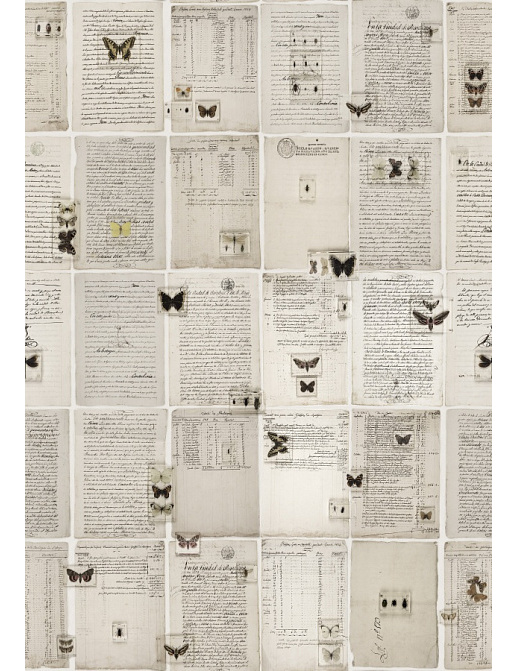 Панно и фотообои Rebel Walls No 7 Curious R14251