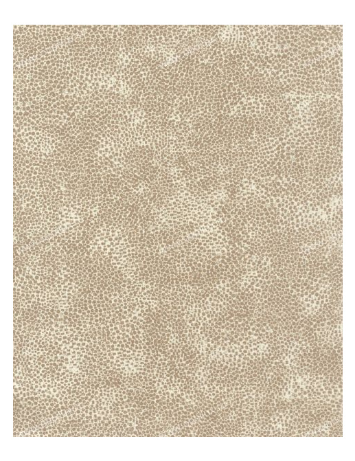 Обои Osborne & Little Wallpaper Album IV W5224-04