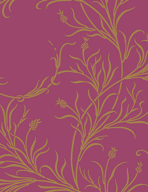 Обои Cole & Son Collection of Flowers 81/12052
