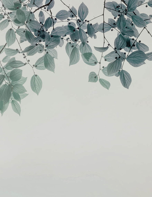 Обои Glamora Creative Wallcovering GLIX22A