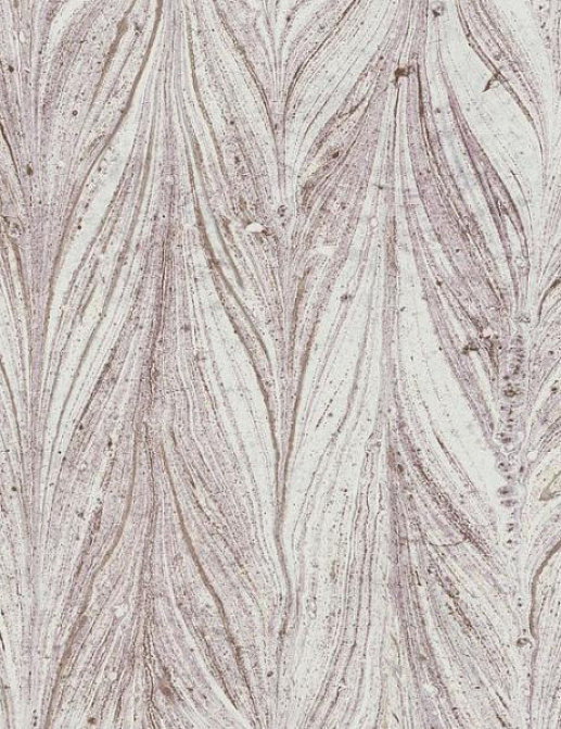 Обои York Antonina Vela - Natural Opalescence Y6230804